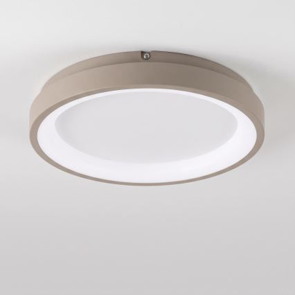 BRILAGI - LED stmievateľné stropné svietidlo FALCON SLIM LED/42W/230V 3000-6500K priemer 50 cm biela/béžová + diaľkové ovládanie