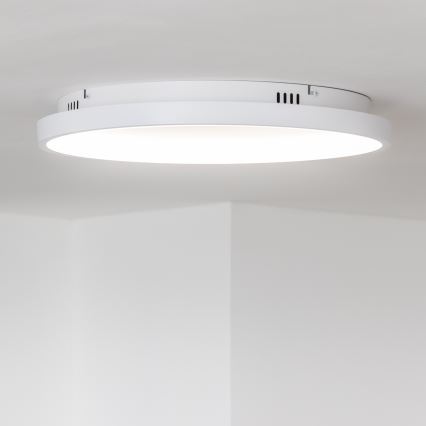 Brilagi - LED stmievané stropné svietidlo FALCON SLIM LED/42W/230V 3000-6500K priemer 50 cm biela + diaľkové ovládanie
