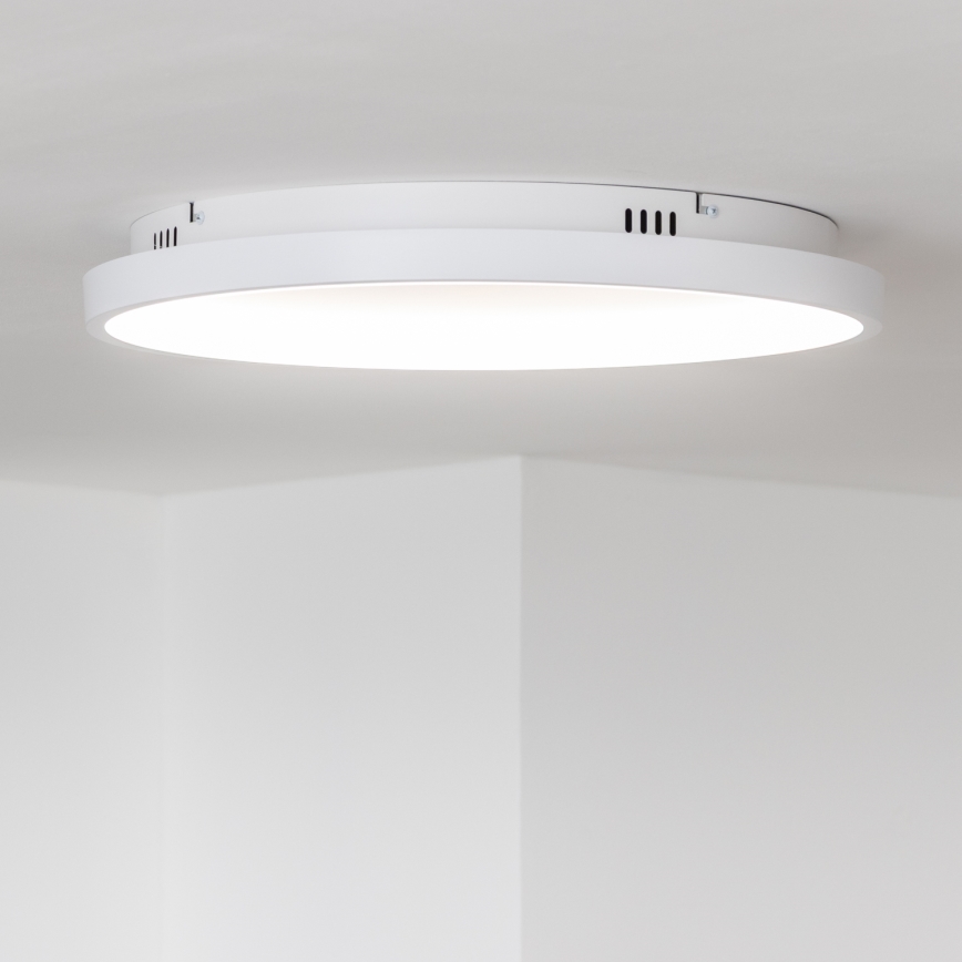 Brilagi - LED stmievané stropné svietidlo FALCON SLIM LED/42W/230V 3000-6500K priemer 50 cm biela + diaľkové ovládanie