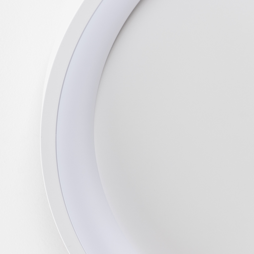 Brilagi - LED stmievané stropné svietidlo FALCON SLIM LED/42W/230V 3000-6500K priemer 50 cm biela + diaľkové ovládanie