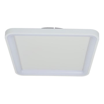 Brilagi - LED stmievateľné stropné svietidlo FALCON SLIM LED/50W/230V 3000-6500K 50x50 cm biele + diaľkové ovládanie