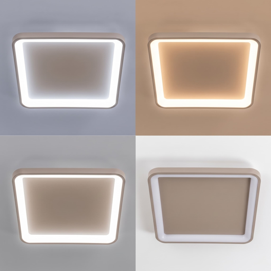BRILAGI - LED stmievateľné stropné svietidlo FALCON SLIM LED/50W/230V 3000-6500K 50x50 cm béžové + diaľkové ovládanie