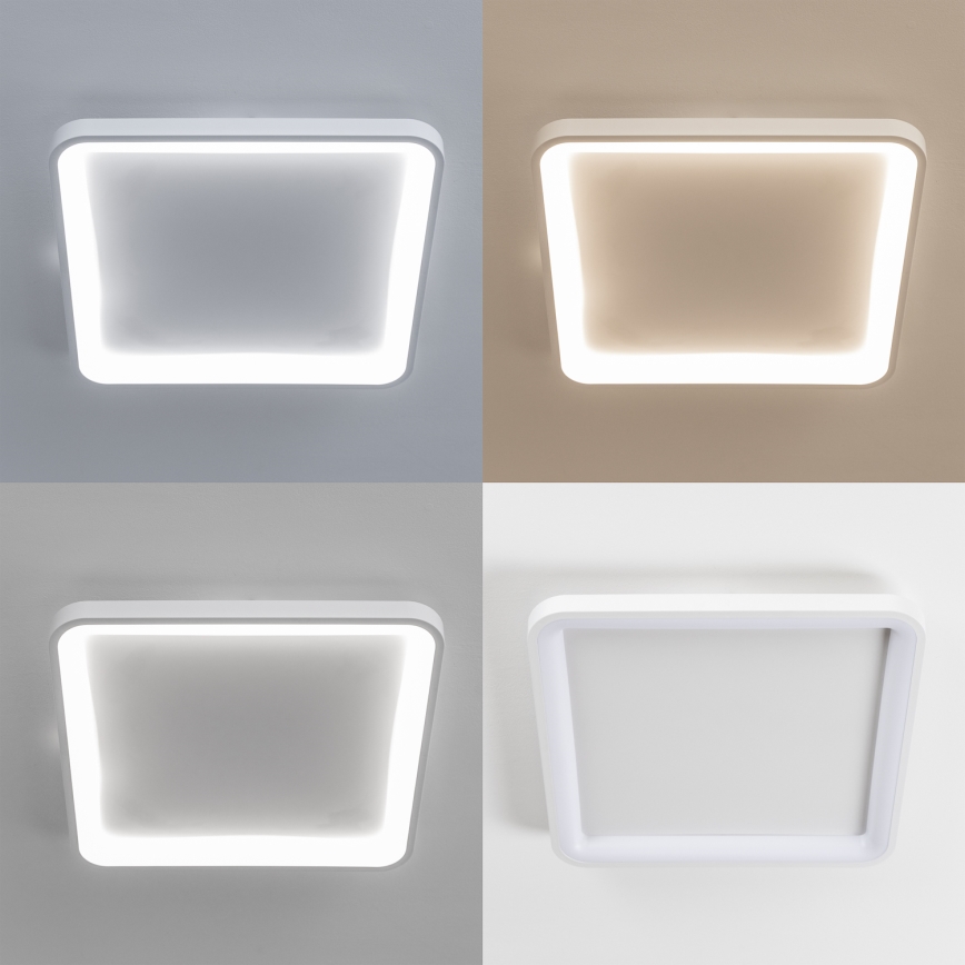 Brilagi - LED stmievateľné stropné svietidlo FALCON SLIM LED/50W/230V 3000-6500K 50x50 cm biele + diaľkové ovládanie