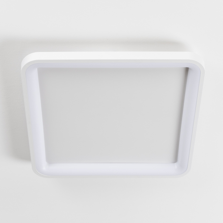 Brilagi - stmievateľné LED stropné svietidlo FALCON SLIM LED/50W/230V 3000-6500K 50x50 cm biela + diaľkové ovládanie