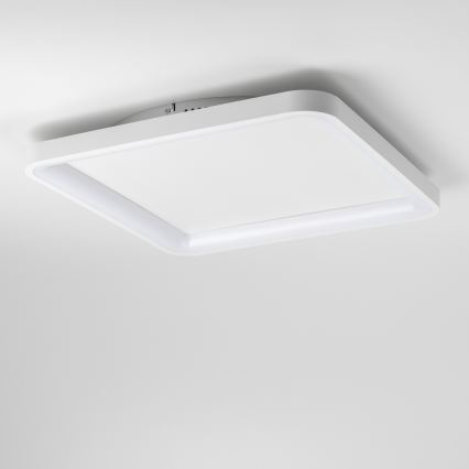 Brilagi - stmievateľné LED stropné svietidlo FALCON SLIM LED/50W/230V 3000-6500K 50x50 cm biela + diaľkové ovládanie