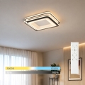 BRILAGI - LED stmievateľné stropné svietidlo FLARE LED/102W/230V 3000-6000K 50x50 cm čierne + diaľkové ovládanie