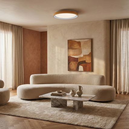 Brilagi - stmievateľné LED stropné svietidlo FLOCO LED/48W/230V, priemer 40 cm, drevený dekor/biela + diaľkové ovládanie