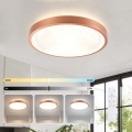 BRILAGI - LED stmievateľné stropné svietidlo GLASS POOL DOUBLE LED/48W/230V pr. 40 cm medené + diaľkové ovládanie