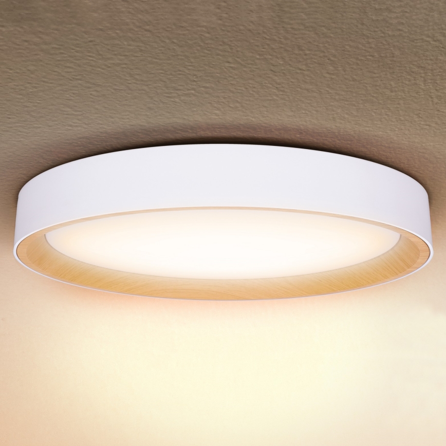 Brilagi - LED stmievateľné stropné svietidlo LARIOS LED/72W/230V biela pr. 59 cm + diaľkové ovládanie