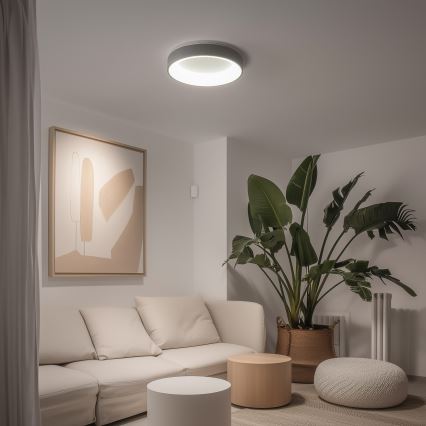 Brilagi - LED stmievateľné stropné svietidlo FALCON LED/40W/230V 3000-6500K, priemer 45 cm, sivé + diaľkové ovládanie