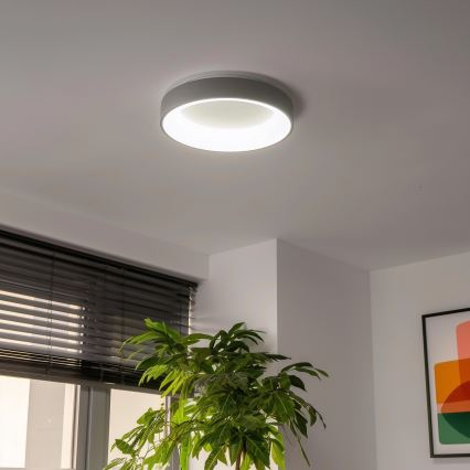Brilagi - LED stmievateľné stropné svietidlo FALCON LED/40W/230V 3000-6500K, priemer 45 cm, sivé + diaľkové ovládanie