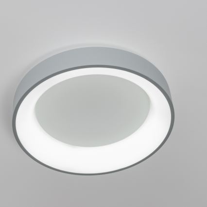 Brilagi - LED stmievateľné stropné svietidlo FALCON LED/40W/230V 3000-6500K, priemer 45 cm, sivé + diaľkové ovládanie