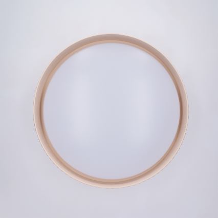 Brilagi - LED Stmievateľné stropné svietidlo LUCIA LED/48W/230V 3000-6500K pr. 41 cm béžová + diaľkové ovládanie