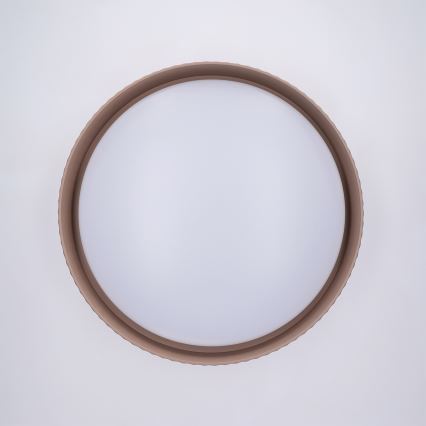 Brilagi - LED stmievateľné stropné svietidlo LUCIA LED/48W/230V 3000-6500K pr. 41 cm taupe + diaľkové ovládanie