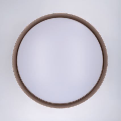 Brilagi - LED stmievateľné stropné svietidlo LUCIA LED/60W/230V 3000-6500K pr. 59 cm taupe + diaľkové ovládanie