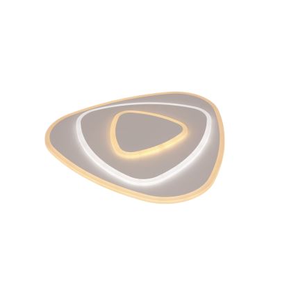 Brilagi - LED Stmievateľné stropné svietidlo MODERN LED/58W/230V 2700-6500K + diaľkové ovládanie