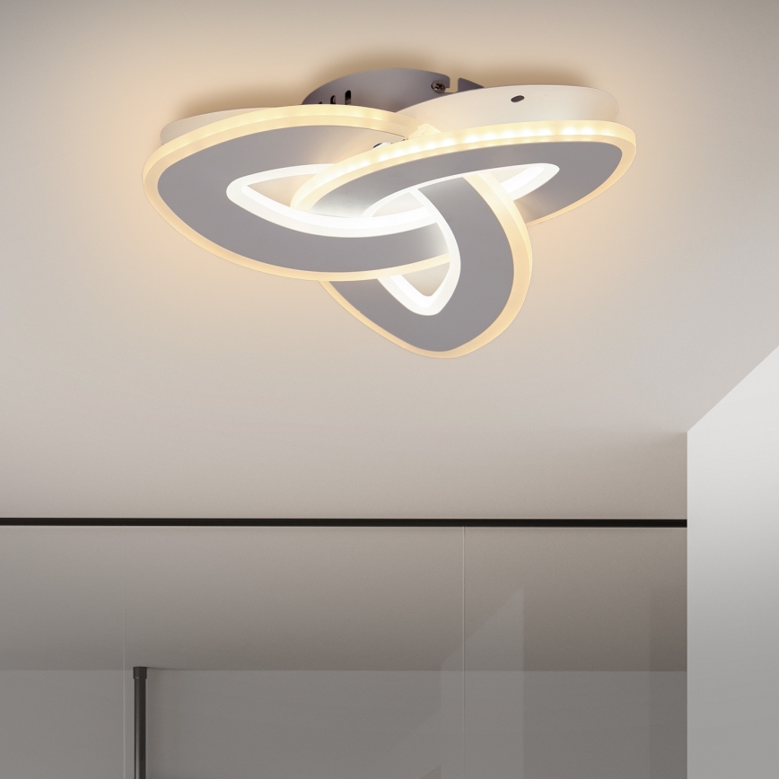 Brilagi - LED Stmievateľné stropné svietidlo MODERN MINI LED/49W/230V 3000/4000/6000K + diaľkové ovládanie