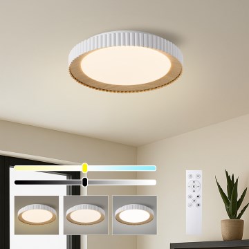 Brilagi - LED stmievateľné stropné svietidlo NEXO LED/48W/230V 3000-6000K biela, priemer 43 cm + diaľkové ovládanie