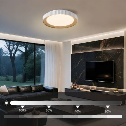 Brilagi - LED stmievateľné stropné svietidlo NEXO LED/48W/230V 3000-6000K biela, priemer 43 cm + diaľkové ovládanie