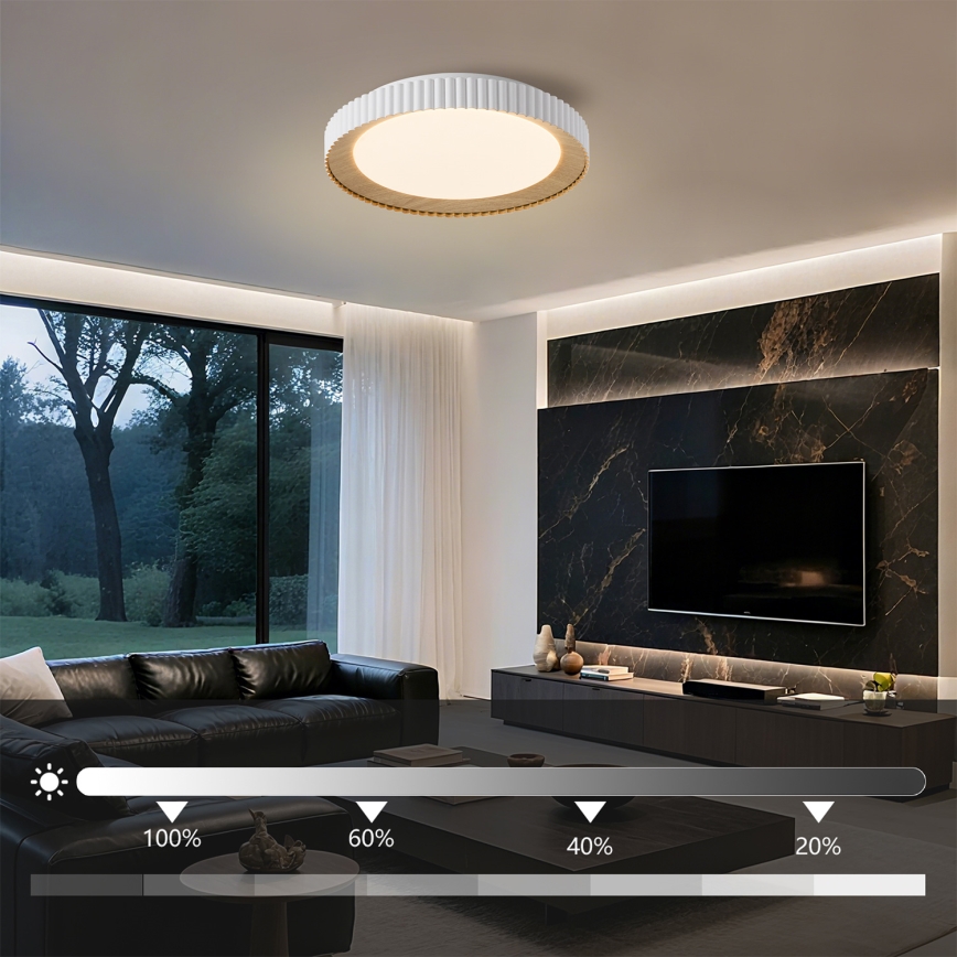 Brilagi - LED stmievateľné stropné svietidlo NEXO LED/48W/230V 3000-6000K biela, priemer 43 cm + diaľkové ovládanie