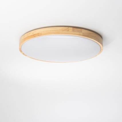 Brilagi - LED Stmievateľné stropné svietidlo PINE LED/24W/230V 3000-6500K + diaľkové ovládanie