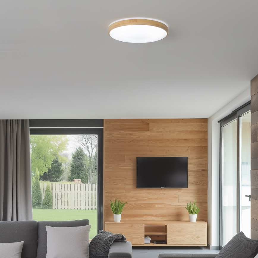 Brilagi - LED Stmievateľné stropné svietidlo PINE LED/24W/230V 3000-6500K + diaľkové ovládanie