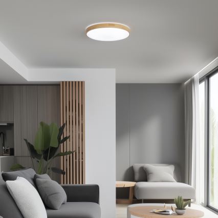 Brilagi - LED Stmievateľné stropné svietidlo PINE LED/24W/230V 3000-6500K + diaľkové ovládanie