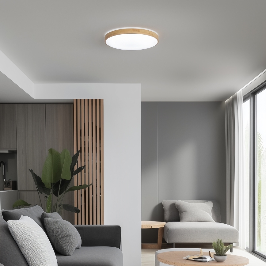 Brilagi - LED Stmievateľné stropné svietidlo PINE LED/24W/230V 3000-6500K + diaľkové ovládanie