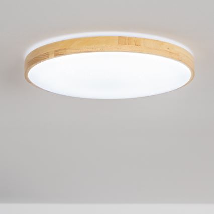 Brilagi - LED Stmievateľné stropné svietidlo PINE LED/24W/230V 3000-6500K + diaľkové ovládanie