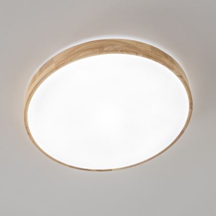 Brilagi - LED Stmievateľné stropné svietidlo PINE LED/24W/230V 3000-6500K + diaľkové ovládanie