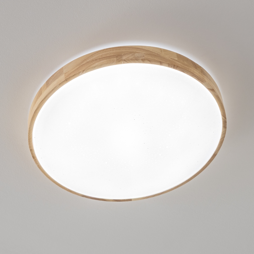 Brilagi - LED Stmievateľné stropné svietidlo PINE LED/24W/230V 3000-6500K + diaľkové ovládanie
