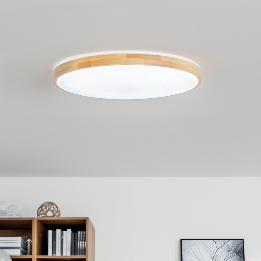 Brilagi - LED stmievateľné stropné svietidlo PINE LED/60W/230V priemer 52 cm 3000-6500K + diaľkové ovládanie