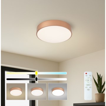 BRILAGI - LED stmievateľné stropné svietidlo POOL LED/36W/230V 3000–6000 K priemer 30 cm bronzové + diaľkové ovládanie