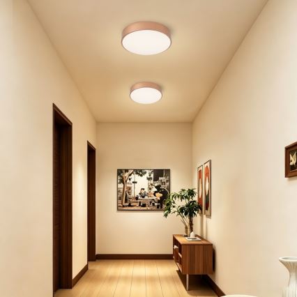 BRILAGI - LED stmievateľné stropné svietidlo POOL LED/36W/230V 3000–6000 K priemer 30 cm bronzové + diaľkové ovládanie