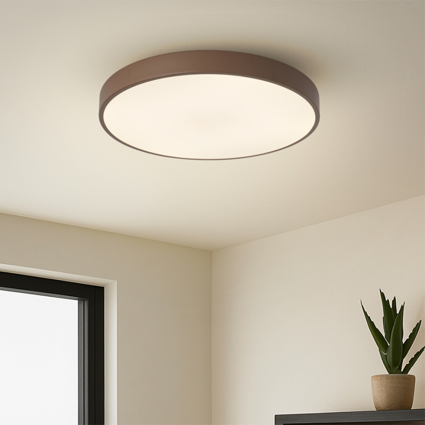 Brilagi - LED stlmiteľné stropné svietidlo POOL LED/48W/230V 3000-6000K pr. 40 cm hnedá + diaľkové ovládanie