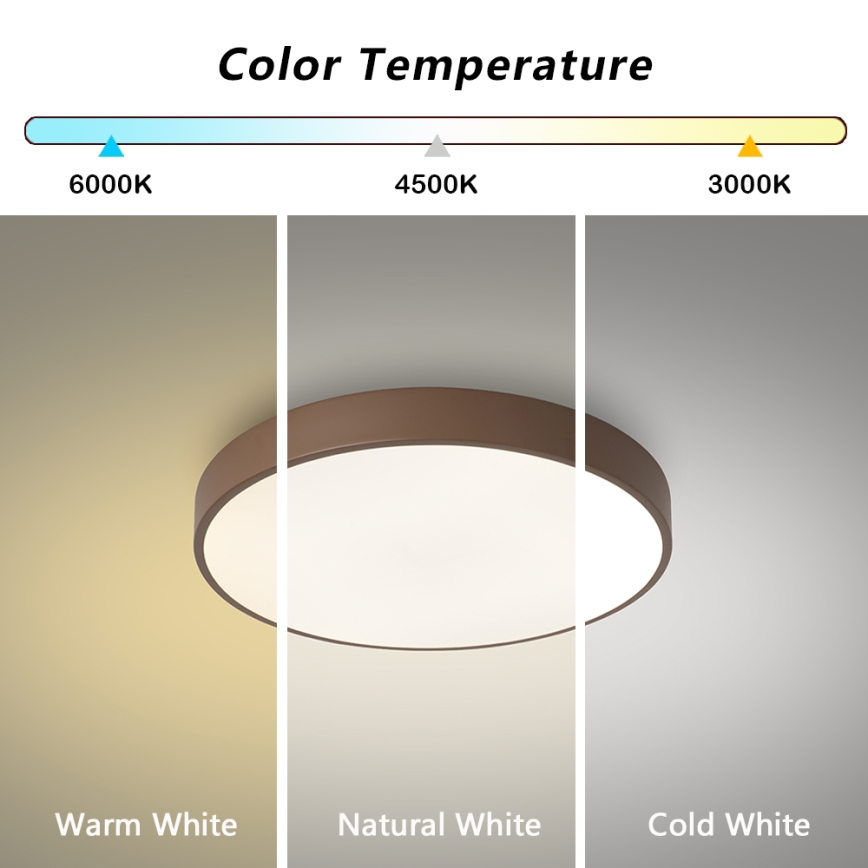 Brilagi - LED stlmiteľné stropné svietidlo POOL LED/48W/230V 3000-6000K pr. 40 cm hnedá + diaľkové ovládanie