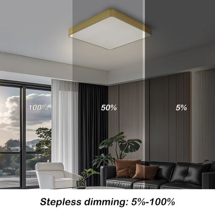 Brilagi - Stmievateľné LED stropné svietidlo POOL LED/48W/230V 3000-6000K 50x50 cm zlaté + diaľkové ovládanie