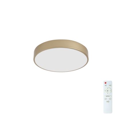 BRILAGI - LED stmievateľné stropné svietidlo POOL LED/48W/230V 3000-6000K pr. 40 cm zlaté + diaľkové ovládanie