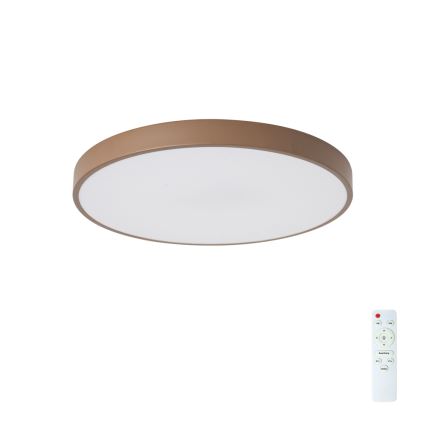 Brilagi - Stlmiteľné LED stropné svietidlo POOL LED/60W/230V 3000–6000K pr. 50 cm hnedé + diaľkové ovládanie