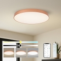 BRILAGI - LED Stmievateľné stropné svietidlo POOL SMART LED/100W/230V 3000-6000K pr. 80 cm Wi-Fi Tuya medené + diaľkové ovládanie