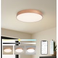 BRILAGI - LED stmievateľné stropné svietidlo POOL SMART LED/60W/230V 3000-6000K pr. 50 cm Wi-Fi Tuya bronzová + diaľkové ovládanie