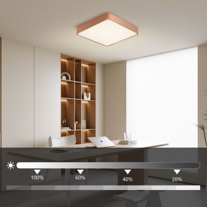 BRILAGI - LED Stmievateľné stropné svietidlo POOL SQUARE LED/48W/230V 3000-6000K 50x50 cm medené + diaľkové ovládanie