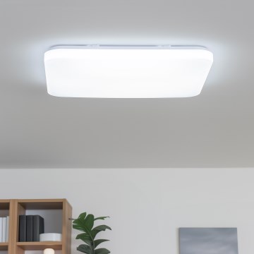 Brilagi - LED stmievateľné stropné svietidlo SHINE LED/24W/230V priemer 60 cm 3000/4000/6500K krémová + diaľkové ovládanie