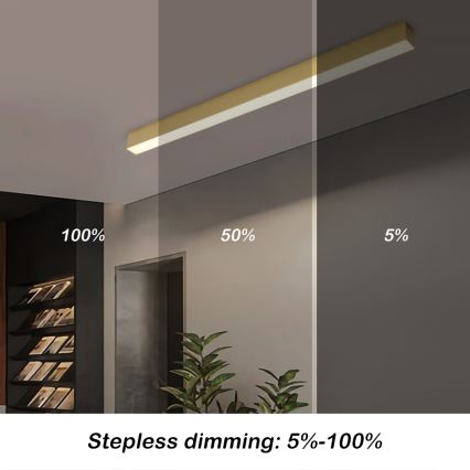Brilagi - LED stmievateľné stropné svietidlo SLEEKLINE SMART LED/40W/230V 3000-6000K Wi-Fi Tuya zlaté + diaľkové ovládanie