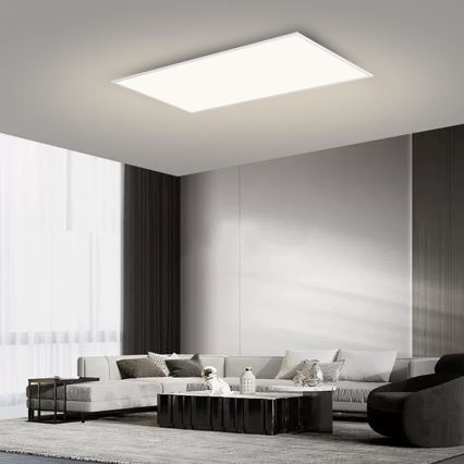 Brilagi - LED stmievateľné stropné svietidlo SLIMFRAME LED/80W/230V 120x60 cm 3000-6000K biela + diaľkové ovládanie