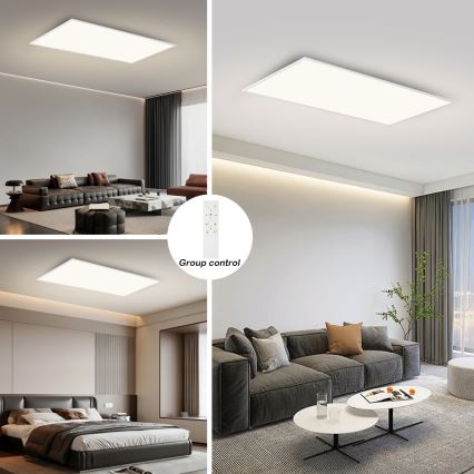 Brilagi - LED stmievateľné stropné svietidlo SLIMFRAME LED/80W/230V 120x60 cm 3000-6000K biela + diaľkové ovládanie