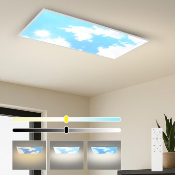 Brilagi - LED stmievateľné stropné svietidlo SLIMFRAME SKY LED/80W/230V 120x60 cm 3000-6000K strieborné/modré + diaľkové ovládanie