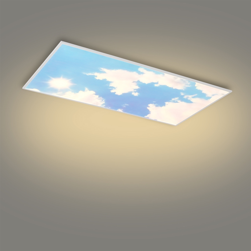 Brilagi - LED stmievateľné stropné svietidlo SLIMFRAME SKY LED/80W/230V 120x60 cm 3000-6000K strieborné/modré + diaľkové ovládanie