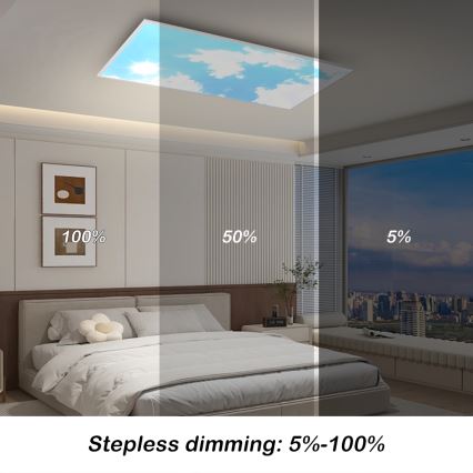 Brilagi - LED stmievateľné stropné svietidlo SLIMFRAME SKY LED/80W/230V 120x60 cm 3000-6000K strieborné/modré + diaľkové ovládanie