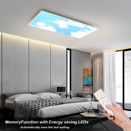 Brilagi - LED stmievateľné stropné svietidlo SLIMFRAME SKY LED/80W/230V 120x60 cm 3000-6000K strieborné/modré + diaľkové ovládanie